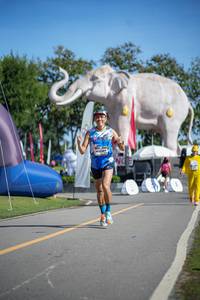 BIB: 
                            <button type="button" onclick="openModal(26542703)" class="btn btn-primary btn-sm float-right btn-popup" data-toggle="modal" data-target=".modal-high-quality">
                        <i class="fas fa-shopping-cart"></i> Add to Cart
                    </button>
                                            <button type="button" onclick="isThisMe(26542703, true)" class="btn btn-success btn-sm float-right btn-popup btn-isme hidden" data-toggle="tooltip" data-placement="bottom" title="นี่คือรูปของคุณใช่ไหม คลิกที่นี่เพื่อเอาเข้าอัลบั้ม">
                        <i class="fas fa-plus"></i> Add to album
                    </button>
                    <button type="button" onclick="isThisMe(26542703, false)" class="btn btn-warning btn-sm float-right btn-popup btn-isnotme hidden">
                        <i class="fas fa-ban"></i> Remove from album
                    </button>